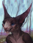 ambiguous_anthro ambiguous_gender anthro blue_eyes brown_body brown_fur day detailed_background fur outside smile solo teeth text fossa666 species_request 2023 digital_media_(artwork) hi_res url