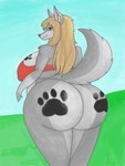 anthro belly big_belly big_breasts big_butt big_tail bottomless bottomless_anthro bra breast_tattoo breasts brown_eyes brown_hair butt butt_tattoo clothed clothing country_girl countryside curvy_figure female fluffy fluffy_tail footprint fur fur_markings gloves_(marking) grey_body grey_fur hair hill huge_breasts huge_butt inner_ear_fluff landscape long_hair looking_at_viewer looking_back markings multicolored_body multicolored_fur overweight overweight_anthro overweight_female pawprint pointy_ears sky smile solo standing tail tattoo thick_thighs tuft two_tone_body two_tone_fur underwear voluptuous voluptuous_anthro voluptuous_female wide_hips kokopingas98 canid canine canis mammal wolf 4:3 absurd_res digital_media_(artwork) hi_res