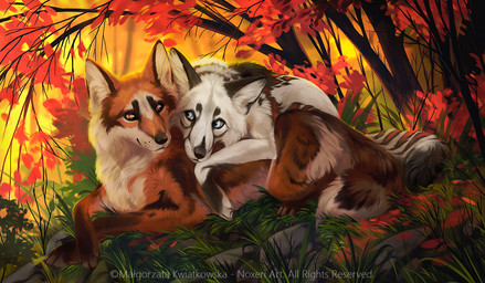 ambiguous_gender autumn autumn_leaves cuddling detailed_background duo feral fluffy fluffy_tail fur grass orange_body orange_fur outside plant tail white_body white_fur noxeri canid canine fox mammal marble_fox red_fox true_fox 2025