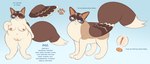 anthro anus breasts female feral genitals navel overweight overweight_female pussy smile solo text wings conditional_dnp labbit_(artist) doc_(labbit) domestic_cat felid feline felis mammal snowshoe_cat tressym english_text hi_res model_sheet