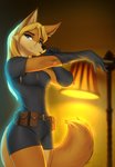 5_fingers anthro blonde_hair blue_eyes breasts clothed clothing eyebrows eyelashes female fingers fur gloves hair handwear orange_body orange_fur solo standing vigilante mykegreywolf jennifer_sherwood canid canine fox mammal 2021 absurd_res digital_media_(artwork) hi_res