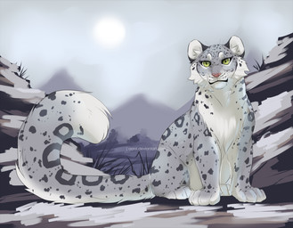 ambiguous_gender big_tail cheek_tuft day facial_tuft feral fur grass green_eyes grey_body grey_fur grey_spots inner_ear_fluff looking_at_viewer markings multicolored_body multicolored_fur on_ground outside pink_nose plant round_ears sitting snow solo spots spotted_body spotted_fur spotted_markings spotted_tail tail tail_markings tuft whiskers white_body white_fur azzai felid mammal pantherine snow_leopard 2026 colored colored_sketch digital_drawing_(artwork) digital_media_(artwork) shaded sketch