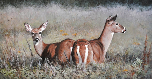 black_eyes black_nose brown_body brown_fur duo feral flower fur grass looking_at_viewer lupine_(flower) markings plant quadruped white_markings renum63 deer mammal new_world_deer white-tailed_deer 2013 acrylic_painting_(artwork) painting_(artwork) traditional_media_(artwork) traditional_painting_(artwork)
