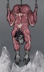 anthro cook cooking cooking_with_furs death food food_dressed freezer gore gore_focus hook ice male male_death meat meat_hook meat_locker muscular pain salt skinless skinned skinning solo torture kolkolukija absurd_res hi_res