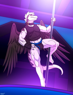 anthro athletic athletic_anthro athletic_male black_body black_clothing black_feathers black_wings bulge clothing collar detailed_bulge feathered_wings feathers fingerless_gloves genital_outline gloves hair handwear male penis_outline pole shirt solo stripper_pole tail tank_top topwear underwear white_body white_hair wings cleiarkent mythology dragon feathered_dragon feathered_scalie mythological_creature mythological_scalie scalie windragon absurd_res alternate_version_at_source hi_res