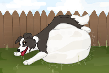 abdominal_bulge ambiguous_gender backyard black_body black_fur bodily_fluids coordinates countershading digestion dipstick_tail drooling fence feral feral_pred fur gloves_(marking) heart_symbol hud leg_markings markings multicolored_body multicolored_fur outside saliva same_size_vore seductive side_view simple_background socks_(marking) solo standing struggling struggling_prey symbol tail tail_markings tan_body text tongue vore white_body white_countershading white_fur 42^02'40.2"n-87^40'53.8"w fops bungie destiny_(series) destiny_2 border_collie canid canine canis collie domestic_dog herding_dog mammal pastoral_dog sheepdog