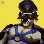 anthro bdsm_gear blue_eyes blue_harness brown_body brown_fur clothing fur harness hat headgear headwear lidded_eyes looking_at_viewer male nipples simple_background solo tan_body tan_fur yellow_background blueteaa canid canine canis domestic_dog mammal hi_res