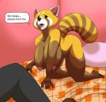 all_fours ambiguous_gender anthro anthrofied bed big_breasts breasts curvy_figure duo female female_focus furniture huge_breasts inside nipples nude off_screen profanity slightly_chubby solo_focus text thick_thighs voluptuous merffle aggretsuko sanrio haida_(aggretsuko) retsuko ailurid mammal red_panda english_text hi_res