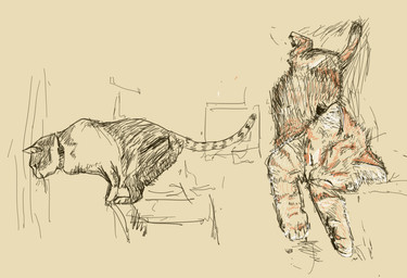 ambiguous_gender collar duo eyes_closed feral fur realistic solo tail naircat domestic_cat felid feline felis mammal 2014 monochrome sepia sketch