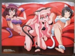 black_hair blue_eyes blush breasts clothing cosplay female group hair long_hair navel pink_eyes pink_hair pose purple_hair short_hair small_breasts tail underwear unknown_artist the_familiar_of_zero henrietta_de_tristain louise_de_la_valliere siesta_(tfoz) animal_humanoid cat_humanoid felid felid_humanoid feline feline_humanoid human humanoid mammal mammal_humanoid 4:3 pinup