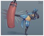 5_fingers abs action_pose anthro biceps big_breasts black_body black_fur blue_body blue_fur bottomless bottomless_female bra breasts clothed clothing female fingers focused fur generation_4_pokemon genitals half_naked hi_res kick lucario martial_arts muscular muscular_anthro muscular_female muscular_thighs nintendo pokemon pokemon_(species) pose punching_bag pussy signature simple_background solo somekindofsnake sports_bra tail thick_thighs training underwear yellow_body yellow_fur