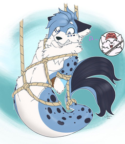 anthro bdsm blue_body blue_fur bondage bound dripping_wet duo fangs fishing_rod fur male markings navel restraints rope rope_bondage scales simple_background split_form spots spotted_body teeth white_body white_fur shrubie_fox canid canine mammal marine merfolk hi_res