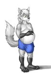 anthro belly belly_rub big_belly bulge fur green_eyes hand_on_belly male pregnant pregnant_anthro pregnant_male slightly_chubby solo white_body white_fur malezor suibelly ian_the_wolf canid canine canis mammal wolf