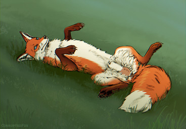 animal_genitalia animal_penis anus canine_genitalia canine_penis eunuch feral fully_sheathed genital_scar genitals grass lying male on_back outside penis plant scar sheath solo corruptedfox skayo canid canine fox mammal red_fox true_fox 2026 absurd_res hi_res