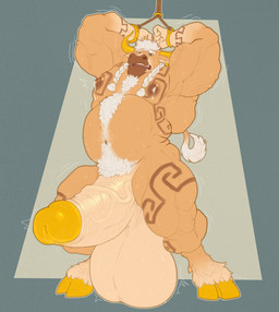 anthro arms_above_head balls bdsm belly belly_hair big_balls big_belly big_penis blue_eyes bodily_fluids body_hair bondage bound braided_hair brown_markings brown_nipples chest_hair ear_piercing front_view fur genitals glistening glistening_eyes hair hands_tied happy_trail hooves horn huge_balls huge_penis humanoid_genitalia humanoid_penis hyper hyper_genitalia inner_ear_fluff lactating male male_lactation markings musclegut muscular muscular_anthro muscular_male navel nipples nude open_mouth orange_body orange_fur overweight overweight_anthro overweight_male penis piercing pubes short_hair solo standing tail tail_tuft tan_balls tan_penis tuft vein veiny_penis white_hair yellow_hooves yellow_horn gryblak bovid bovine cattle mammal absurd_res hi_res