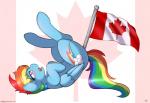 ass_up blue_body blue_feathers blue_fur blush bodily_fluids canada canadian_flag cutie_mark dripping feathered_wings feathers female feral flag fur genital_fluids hair improvised_sex_toy maple_leaf multicolored_hair multicolored_tail open_mouth penetration pink_eyes rainbow_hair rainbow_tail raised_tail saliva solo tail tongue vaginal_fluids wings ratofdrawn friendship_is_magic hasbro my_little_pony mythology rainbow_dash_(mlp) equid equine mammal mythological_creature mythological_equine pegasus digital_media_(artwork) shaded