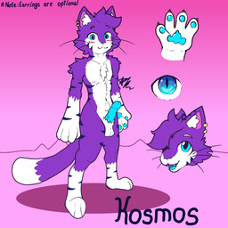 anthro blue_eyes cat_tail ear_piercing fur genitals humanoid_genitalia humanoid_penis male multicolored_body multicolored_fur penis piercing purple_body purple_fur solo stripes vein veiny_penis whiskers k0sm00s k0sm00s_(character) felid feline mammal 1:1 hi_res model_sheet