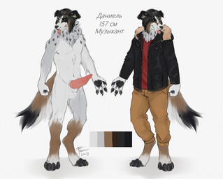 animal_genitalia animal_penis anthro balls black_body black_clothing black_fur black_hair black_jacket black_nose black_pawpads black_topwear bottomwear brown_body brown_bottomwear brown_clothing brown_fur brown_pants canine_genitalia canine_penis cheek_tuft clothed clothing digitigrade erection facial_tuft floppy_ears fluffy fluffy_tail front_view fur genitals grey_body grey_fur hair jacket leg_tuft male neck_tuft nude pants pawpads penis piercing red_clothing red_penis red_topwear retracted_sheath sheath simple_background solo standing tail text tongue tongue_out tongue_piercing tongue_stud topwear tuft white_background white_balls white_body white_fur famir canid canine canis domestic_dog mammal 2019 cyrillic_text dated letterbox reference_image signature translated