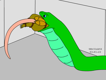balls bdsm blue_eyes bondage bound brown_body brown_fur duo feral fur genitals green_body head_first larger_pred male male/male male_prey nude_prey oral_vore partially_inside size_difference tail vore urbanhermit mammal murid murine rat reptile rodent scalie snake 2003 4:3 colored dated