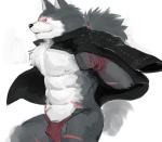 abs anthro asian_clothing blue_eyes clothing east_asian_clothing fundoshi fur grey_body grey_fur hair jacket japanese_clothing kemono male muscular muscular_anthro muscular_male pecs ponytail scar solo topwear underwear white_body white_fur iceman1984 sega shining_(sega) shining_force shining_wind rouen_(shining) canid canine canis mammal wolf