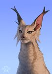 ambiguous_gender brown_eyes day detailed_background fur outside sky smile solo teeth whiskers white_body white_fur kero_tzuki garoline caracal caracal_(genus) felid feline mammal 2020 digital_media_(artwork) hi_res female_(lore)