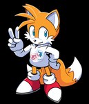 2024 2_tails 5_fingers alpha_channel amy_rose anthro black_nose blue_eyes blue_pupils canid canine cheek_tuft classic_amy_rose classic_sonic classic_sonic_(universe) closed_smile clothing countershading dipstick_tail eulipotyphlan facial_tuft fingers footwear fox fur gesture glistening glistening_eyes glistening_nose gloves hair hand_gesture hand_on_hip handwear head_tuft heart_symbol hedgehog hi_res hoodie hyoumaru long_tail male mammal markings miles_prower mouth_closed multi_tail multicolored_clothing multicolored_footwear multicolored_shoes orange_body orange_ears orange_fur orange_hair orange_tail pose pupils red_clothing red_footwear red_shoes sega shoes simple_background smile solo sonic_the_hedgehog sonic_the_hedgehog_(series) standing tail tail_markings topwear transparent_background tuft two_tone_clothing two_tone_footwear two_tone_shoes v_sign white_body white_clothing white_countershading white_footwear white_fur white_gloves white_handwear white_hoodie white_inner_ear white_shoes white_tail white_topwear