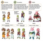 bald brown_hair female green_body group hair karate male martial_arts not_furry pink_body simple_background species_sheet spiky_hair text white_background unknown_artist dragon_ball dragon_ball_online dragon_ball_z alien alien_humanoid human humanoid majin mammal namekian english_text model_sheet