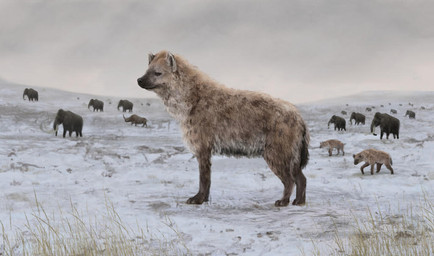 brown_body brown_fur fatty_humps feral fur grass grey_sky group herd markings plant proboscis_(anatomy) sky snow solo_focus spots spotted_body spotted_fur tan_body tan_fur trunk_(anatomy) tundra tusks mihin89 cave_hyena elephantid hyena mammal mammoth prehistoric_species proboscidean rhinoceros spotted_hyena woolly_mammoth woolly_rhinoceros 2023