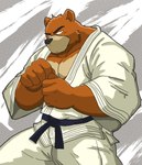 5_fingers anthro black_nose brown_body brown_fur chest_markings clothing fingers fur keikogi male markings martial_arts martial_arts_uniform multicolored_body multicolored_fur muscular muscular_anthro muscular_male solo sportswear tan_body tan_fur two_tone_body two_tone_fur white_clothing yajyu morenatsu juuichi_mikazuki bear black_bear mammal moon_bear ursine 2023 colored hi_res