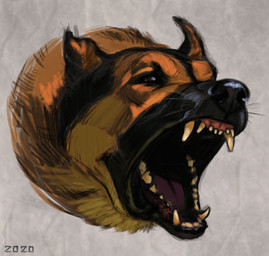 black_markings black_nose brown_body brown_fur feral fur markings open_mouth sharp_teeth solo tan_body tan_fur teeth alexpahomov canid canine canis domestic_dog german_shepherd herding_dog mammal pastoral_dog 2020 digital_drawing_(artwork) digital_media_(artwork) hi_res