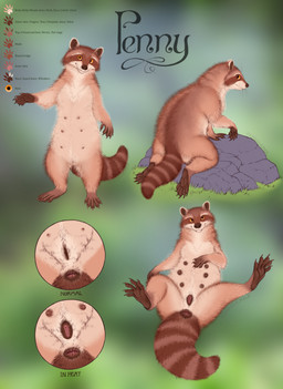 5_fingers 5_toes 6_nipples abstract_background anatomically_correct anatomically_correct_anus anatomically_correct_genitalia anatomically_correct_vulva animal_genitalia animal_vulva anus bedroom_eyes blurred_background brown_anus brown_body brown_feet brown_fur brown_hands brown_inner_ear brown_markings brown_nipples brown_pawpads brown_paws brown_skin brown_tail brown_vulva butt claws color_swatch crawling cutaway detailed_anus erect_nipples erythristic exposed_teeth eyebrows_(marking) facial_markings fangs feet female female_feral feral finger_claws fingers front_view fur furry_tail genitals grass guard_hair hand_on_belly head_markings in_heat looking_at_viewer looking_back lying markings mask_(marking) multi_nipple multicolored_body multicolored_fur multiple_angles multiple_poses narrowed_eyes nipples nude one_hand_up pawpads paws plant plantigrade plump_labia pose presenting presenting_anus presenting_belly presenting_crotch presenting_hindquarters presenting_nipples presenting_vulva raccoon_vulva rear_view rock seductive semi-anthro simple_background slightly_chubby slightly_chubby_female slightly_chubby_feral smile smiling_at_viewer solo spread_legs spread_toes spreading standing striped_markings striped_tail stripes tail tail_anus tail_markings tan_body tan_claws tan_fur tan_thighs teeth text thick_thighs thigh_gap three-quarter_view toe_claws toes vulva wavy_tail whisker_spots whiskers white_body white_ears white_fur yellow_eyes cloudweaver_(artist) rayne_hill penny_mistoni mammal procyonid raccoon 2025 absurd_res character_name detailed digital_media_(artwork) digital_painting_(artwork) english_text hi_res model_sheet painting_(artwork) shaded signature smaller_version_at_source