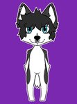 anthro black_body black_eyeshadow black_fur black_hair blue_eyes bridge_piercing cross ear_piercing emo_haircut emo_hairstyle eyeshadow facial_piercing fur hair makeup male nose_piercing piercing septum_piercing solo white_body white_fur lalymun funko_pop! rivey_ravenheart canid canine canis domestic_dog husky mammal nordic_sled_dog spitz hi_res