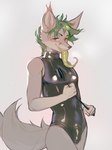 anthro bdsm biped bulge dominant dominant_anthro dominant_male green_eyes green_hair green_tongue hair latex male solo tail tongue tongue_out koreshka fenec absurd_res hi_res