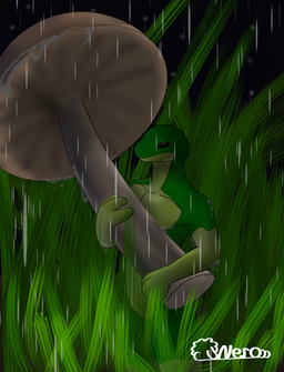 3_fingers anthro countershading fingers fungus grass male mushroom night plant raining solo standing nerothefloof amphibian frog absurd_res hi_res
