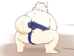 anthro asian_clothing butt clothing east_asian_clothing japanese_clothing kemono male mawashi overweight overweight_male solo sumo sumo_wrestler inunoshippo canid canine canis domestic_dog mammal 2024 4:3 hi_res