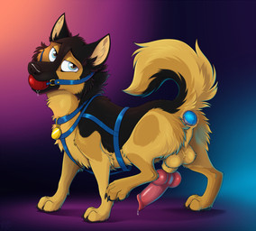 anal anal_penetration animal_genitalia animal_penis ball_gag balls black_body black_claws black_fur black_nose blue_eyes bodily_fluids buttplug buttplug_in_ass buttplug_insertion canine_genitalia canine_penis claws collar collar_tag erection feral fur gag gagged gagged_drooling genital_fluids genitals knot knotted_penis looking_at_viewer male object_in_ass orange_body orange_fur paws penetration penis plug_(sex_toy) plug_insertion precum quadruped raised_tail sex_toy sex_toy_in_ass sex_toy_insertion sheath snout solo tail mimi-fox canid canine canis domestic_dog german_shepherd herding_dog mammal pastoral_dog