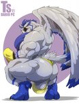 anthro back_muscles backsack balls barazoku barefoot beak big_balls big_butt big_pecs big_penis black_beak black_penis blue_body blue_feathers blue_fur blue_hair blue_skin butt claws clothed clothing crouching erection erection_under_clothing feathers feet fur genitals grey_balls grey_body grey_feathers grey_fur grey_wings hair huge_butt huge_penis looking_at_viewer male mostly_nude multicolored_body multicolored_feathers multicolored_fur multicolored_wings muscular muscular_anthro muscular_arms muscular_male muscular_thighs pecs penis rear_view simple_background solo speedo swimwear tail tail_feathers talons tenting thick_thighs toes triceps white_background wings yellow_eyes tylerstark sova avian bird owl hi_res signature