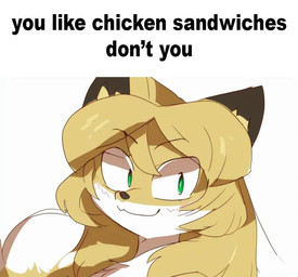 anthro brown_body brown_fur dipstick_tail female female_anthro fur green_eyes hair looking_at_viewer markings shitpost simple_background solo tail tail_markings text white_body white_fur conditional_dnp unknown_artist boy_kisser_(meme) averi_(fiddleafox) canid canine fox mammal red_fox true_fox english_text meme