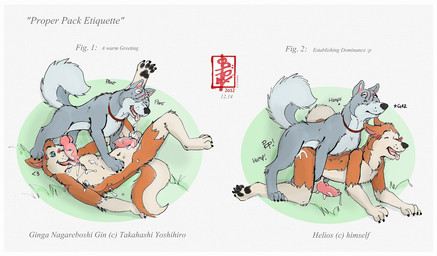 69_position anal anal_penetration animal_genitalia animal_penis anthro anthro_on_feral anthro_penetrated aroused balls bestiality bodily_fluids canine_genitalia canine_penis collar cum doggystyle duo ejaculation erection fellatio feral feral_penetrating feral_penetrating_anthro from_behind_position genital_fluids genitals intraspecies intraspecies_bestiality knot knotted_penis male male/male male_penetrated male_penetrating male_penetrating_male messy oral penetration penile penile_penetration penis sex fennec_(artist) ginga_(series) gin helios_husky akita canid canine canis domestic_dog husky mammal nordic_sled_dog spitz hi_res sketch