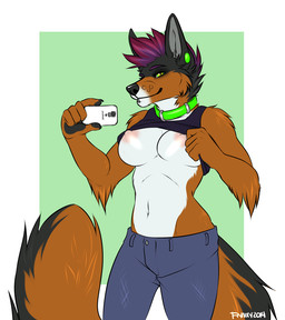 anthro biped breasts camera clothed clothing clothing_lift collar electronics facial_piercing female holding_object holding_phone lip_piercing looking_at_viewer nipples phone piercing raised_clothing raised_shirt raised_topwear selfie shirt shirt_lift solo standing tail topwear flynx-flink jackiejackal_(character) canid canine canis jackal mammal