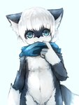 anthro black_nose blue_body blue_eyes blue_fur blue_scarf blue_tail countershading fluffy fluffy_ears fur genitals glistening glistening_eyes gloves_(marking) hair inner_ear_fluff kemono looking_at_viewer male markings multicolored_body penis penis_base scarf shota simple_background solo tail tuft two_tone_body two_tone_face two_tone_tail white_background white_body white_fur white_hair white_inner_ear_fluff white_paws white_tail young young_anthro naegi sirius_(fffff_kkkkk) canid canine fox mammal 2019 digital_media_(artwork) digital_painting_(artwork) hi_res