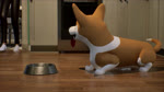 ambiguous_gender anthro appliance bowl container cookware feral frying_pan group kitchen kitchen_appliance kitchen_utensils knife male microwave_oven oven parody pet_bowl pet_food spatula text tongue tongue_out tools trio_focus smooxie disney lilo_and_stitch stitch_(lilo_and_stitch) alien border_collie canid canine canis collie domestic_dog experiment_(lilo_and_stitch) herding_dog human mammal pastoral_dog sheepdog welsh_corgi 16:9 2025 3d_(artwork) 3d_animation animated credits digital_media_(artwork) english_audio english_text hi_res long_playtime sound voice_acted webm widescreen