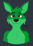 anthro brown_eyes fur green_body green_ears green_fur green_hair grey_background hair looking_at_viewer male male_anthro nude nude_male simple_background smile solo yoshiknight2 duncan_roo kangaroo macropod mammal marsupial 2016 bust_portrait hi_res portrait male_(lore)