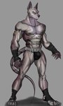 abs anthro bulge clothing detailed_bulge jockstrap male muscular muscular_anthro muscular_male nipples pecs solo underwear dagantfus_(artist) anothereidos_of_dragon_vein_r jalam_(anothereidos_r) anubian_jackal canid canine canis jackal mammal absurd_res hi_res