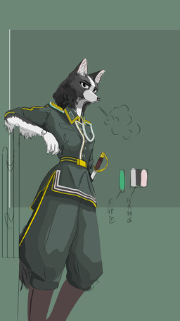 anthro eirian female 9:16 absurd_res hi_res
