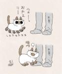 ambiguous_gender black_eyes clothing disembodied_leg duo feral footwear fur inner_ear_fluff legwear looking_up simple_background socks solo_focus tan_body tan_fur text tuft white_body white_fur yamanobejin domestic_cat felid feline felis mammal hi_res japanese_text