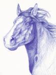 ambiguous_gender feral long_snout mane quadruped side_view simple_background snout solo white_background balorkin equid equine horse mammal 2014 blue_and_white headshot_portrait monochrome pen_(artwork) portrait traditional_media_(artwork)