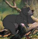 2020 baloo bear bearhybrid claws disney feral fur half-closed_eyes hand_on_chin hand_on_face male mammal narrowed_eyes nude signature sitting sloth_bear solo the_jungle_book ursine