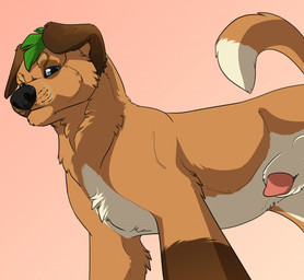 anatomically_correct animal_genitalia aroused balls canine demanding dog domination feral knot knot_in_sheath mammal penis penis_tip sheath unbreakable-warrior
Rating: Explicit
Score: 2
User: greasepup
Date: April 22, 2018 anatomically_correct animal_genitalia aroused balls canine demanding dog domination feral knot knot_in_sheath mammal penis penis_tip sheath unbreakable-warrior
Rating: Explicit
Score: 2
User: greasepup
Date: April 22, 2018