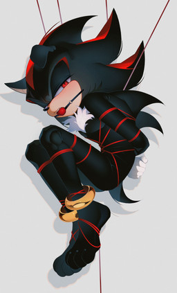 4_toes 5_fingers anklet anthro arms_tied back_spikes ball_gag bdsm bent_legs black_body black_hair black_nose black_spikes bondage bound chest_tuft clothing countershade_face countershading curled_up cute_fangs fangs feet feet_tied fingers gag gagged gloves gloves_only hair hands_behind_back hands_tied hands_tied_behind_back handwear handwear_only highlights_(coloring) humanoid_hands iris jewelry legs_tied long_hair long_nose looking_at_viewer male male_anthro mostly_nude mostly_nude_anthro mostly_nude_male narrowed_eyes one_ear_up pose pupils red_ball_gag red_eyes red_highlights red_rope restraints rope rope_bondage rope_harness short_tail simple_background slim slim_anthro slim_male solo spikes spikes_(anatomy) spiky_hair submissive submissive_anthro submissive_male tail tan_body tan_countershading teeth three-quarter_view toes tuft unusual_pupils white_background white_clothing white_gloves white_handwear white_sclera white_tuft creamm_cake sega sonic_the_hedgehog_(series) shadow_the_hedgehog eulipotyphlan hedgehog mammal absurd_res full-length_portrait hi_res pinup portrait shaded